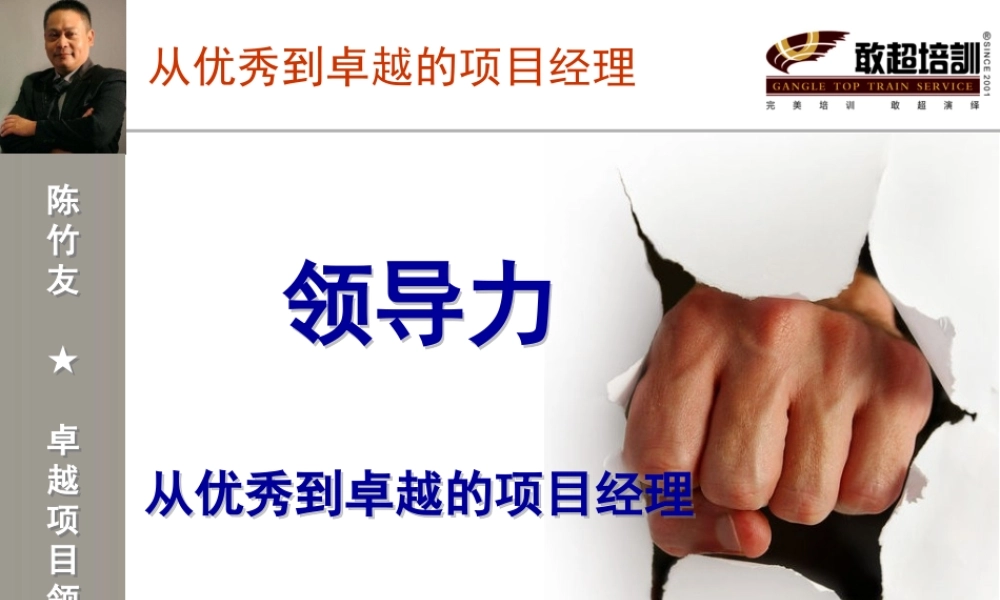 《领导力：从优秀到卓越的项目经理》