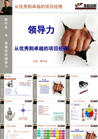 《领导力：从优秀到卓越的项目经理》