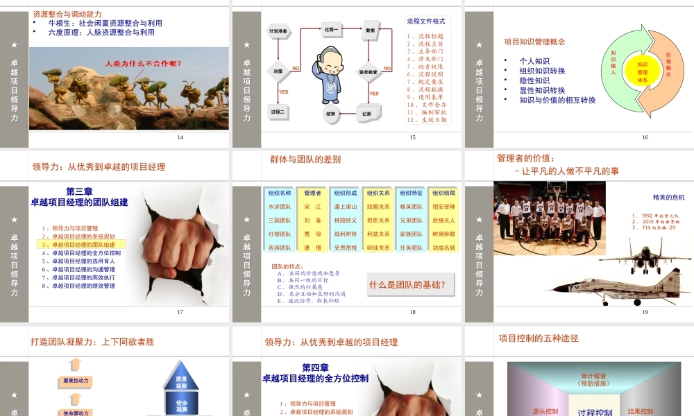 《领导力从优秀到卓越的项目经理》