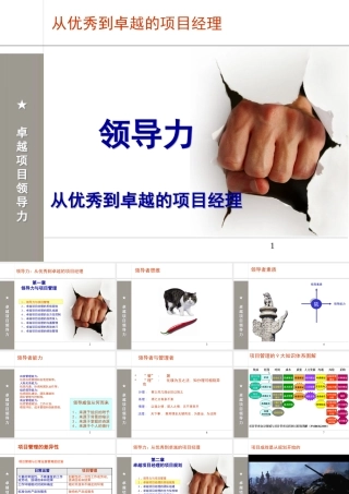 《领导力从优秀到卓越的项目经理》