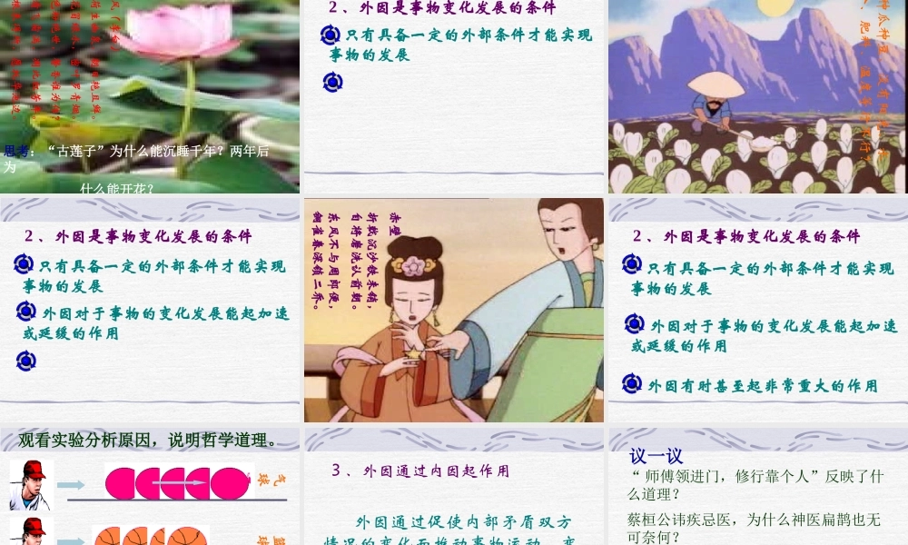 XXXX矛盾在事物发展中的作用