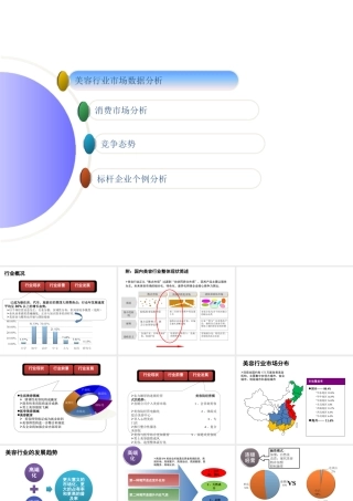 XXXX美容美体行业分析