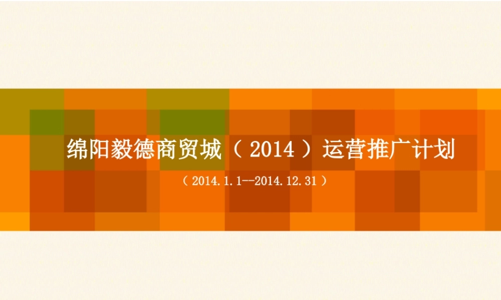 XXXX绵阳毅德宣传推广计划(XXXX1221)