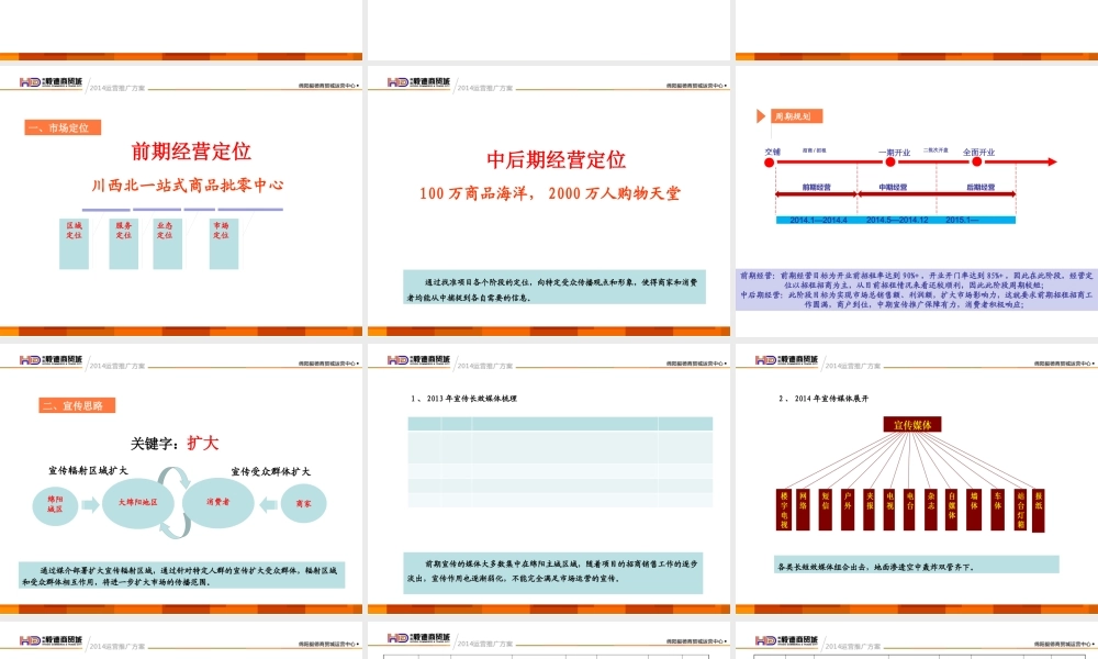 XXXX绵阳毅德宣传推广计划(XXXX1221)