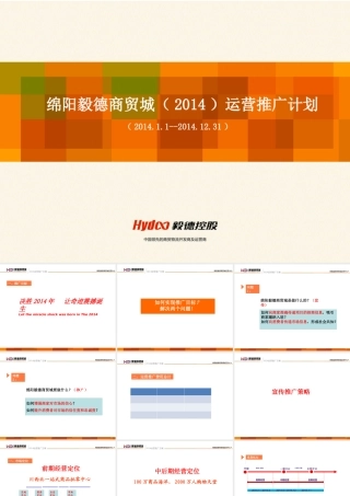 XXXX绵阳毅德宣传推广计划(XXXX1221)