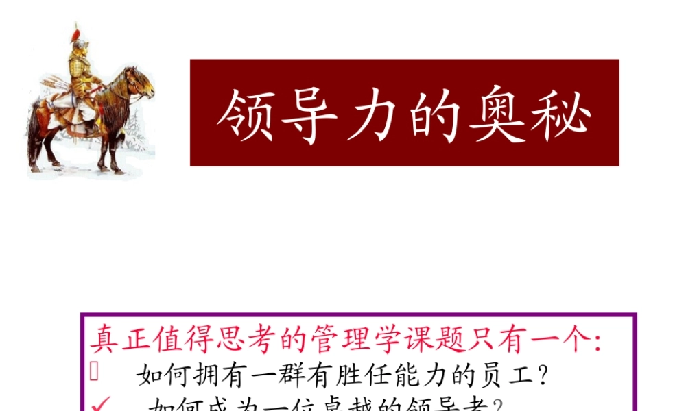 《领导力之奥秘》如何成为一位卓越的领导者