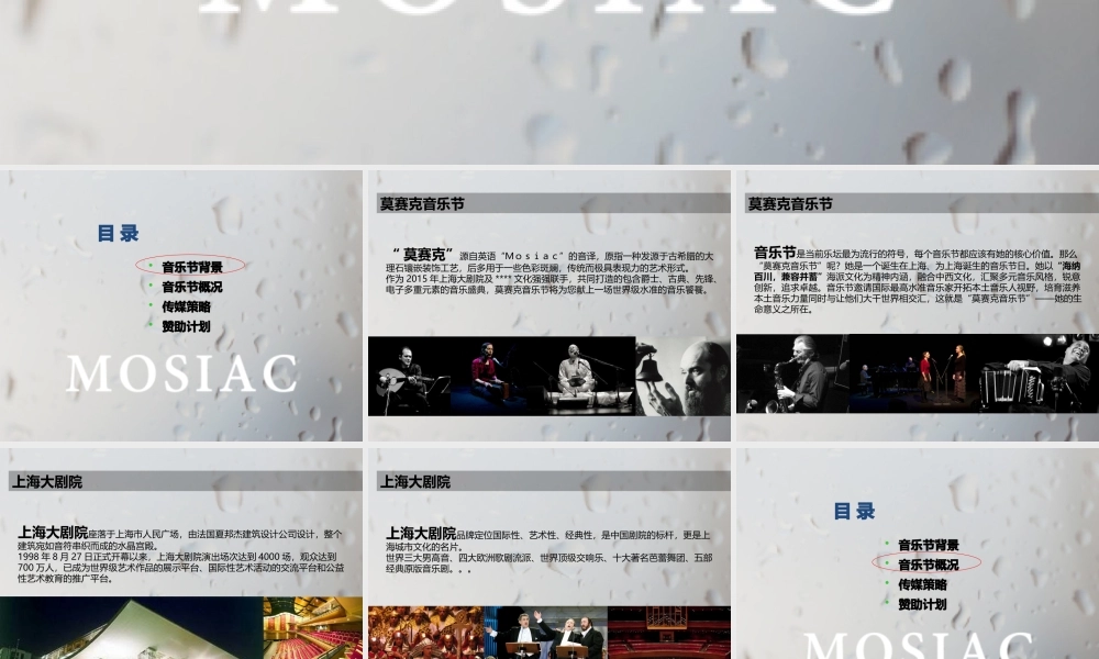 XXXX莫赛克音乐节计划书