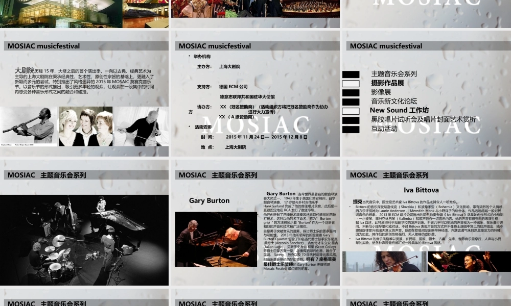 XXXX莫赛克音乐节计划书
