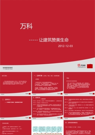 XXXX某地产品牌解读