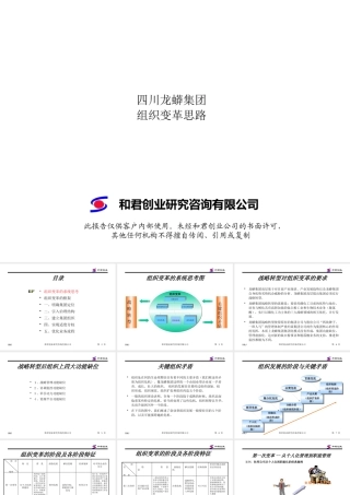 《龙蟒集团组织变革思路》(3)