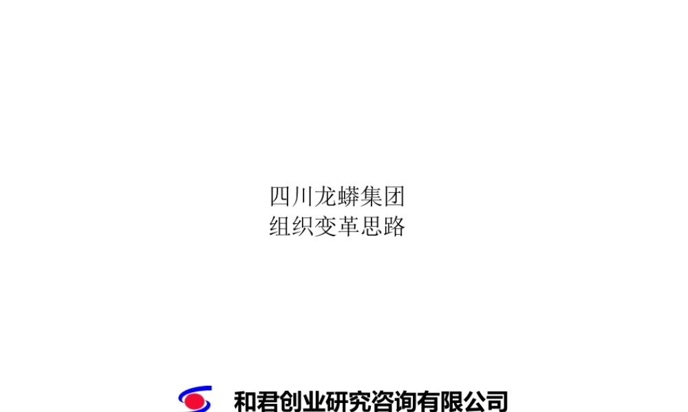 《龙蟒集团组织变革思路》(ppt 72页)