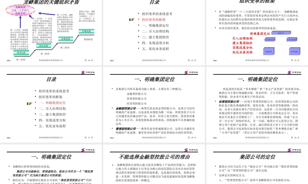 《龙蟒集团组织变革思路》(ppt 72页)