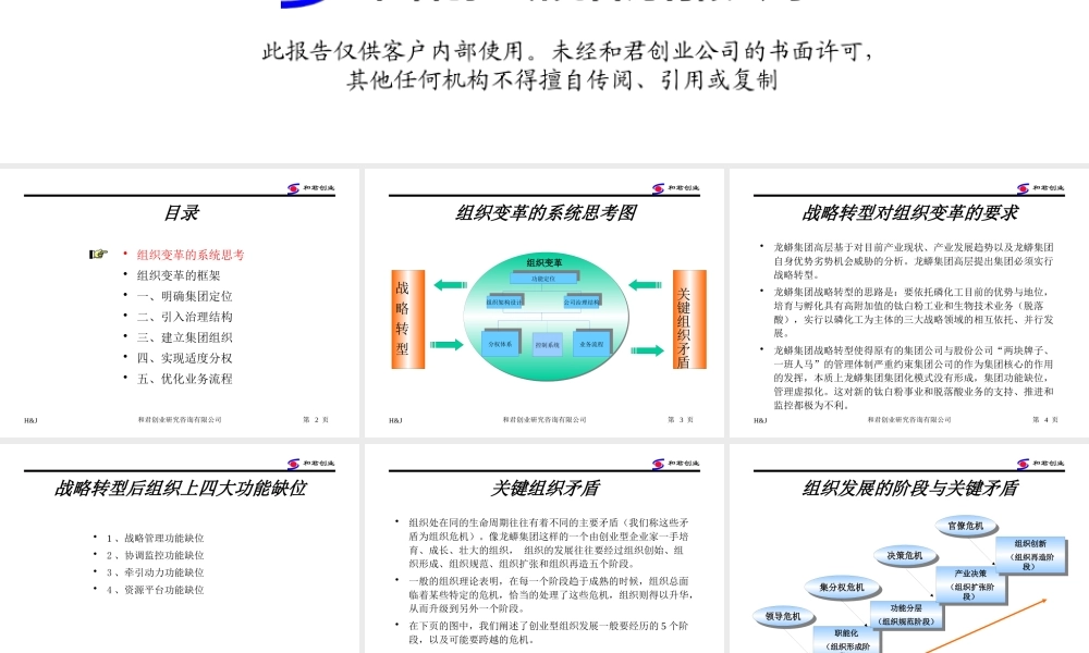 《龙蟒集团组织变革思路》