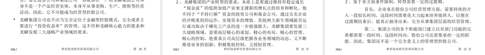 《龙蟒集团组织变革思路》