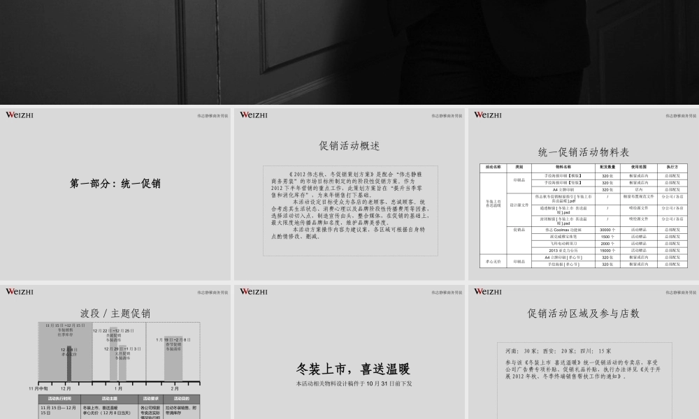 XXXX某国内男装冬季促销策划执行方案