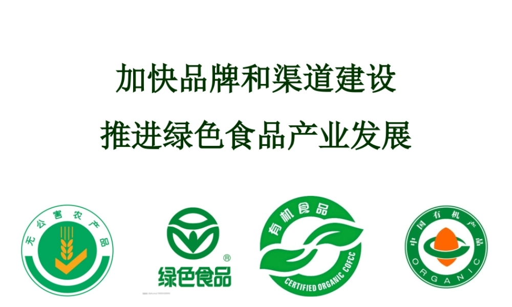 《绿色有机食品专卖店商业计划书》(4)(PPT41页)