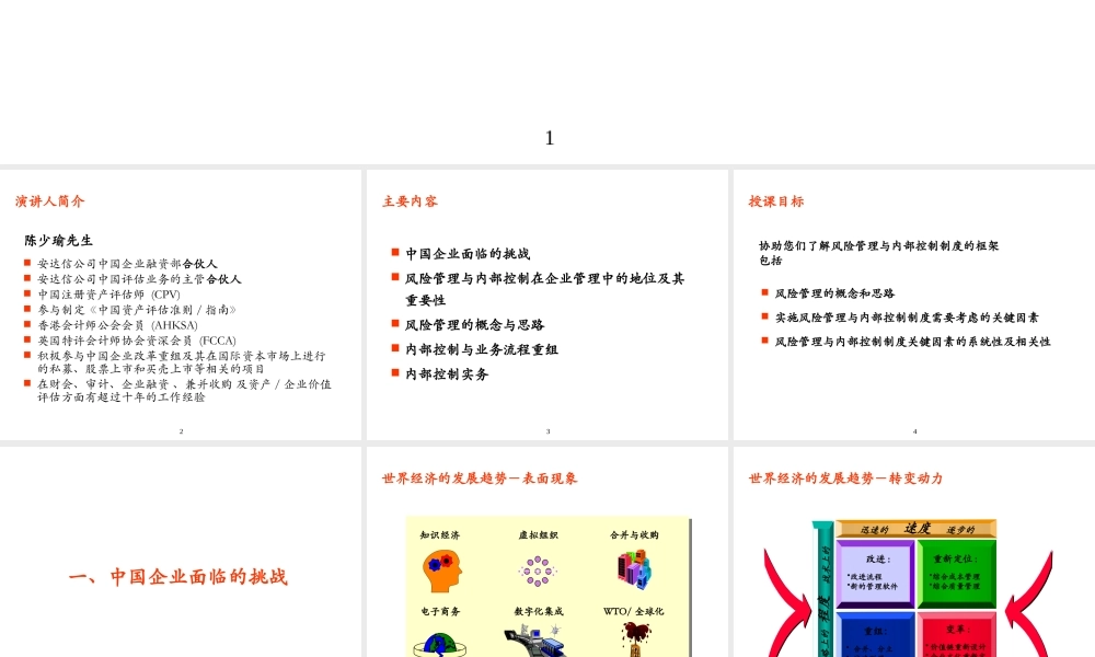 XXXX某咨询企业风险管理及内部控制制度框架,上海监事