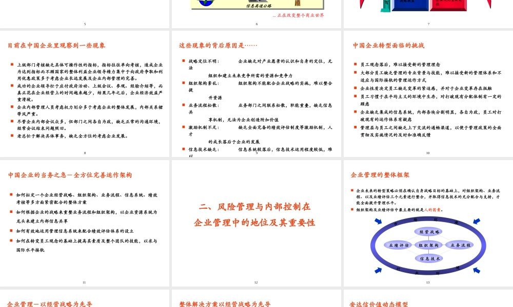 XXXX某咨询企业风险管理及内部控制制度框架,上海监事