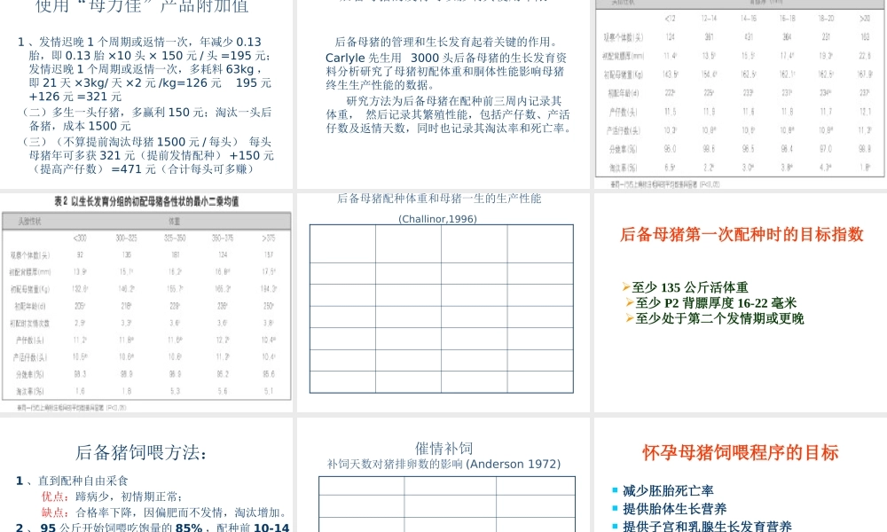 XXXX母猪料产品介绍