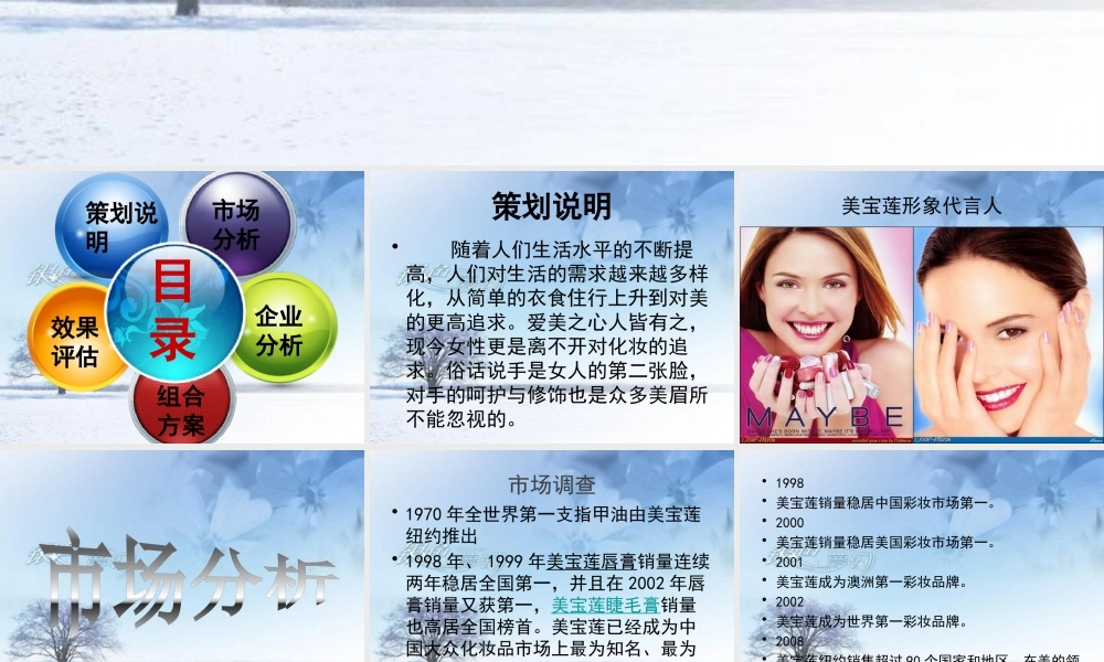 《美宝莲指甲油化妆品公关策划方案PPT》