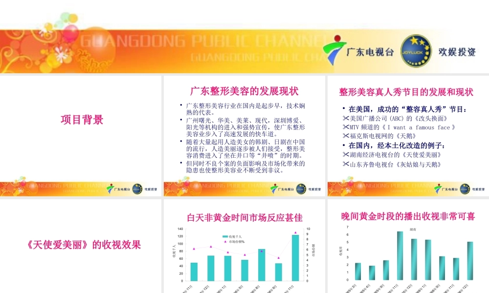 《美丽新约》策划方案3月8日最后定稿