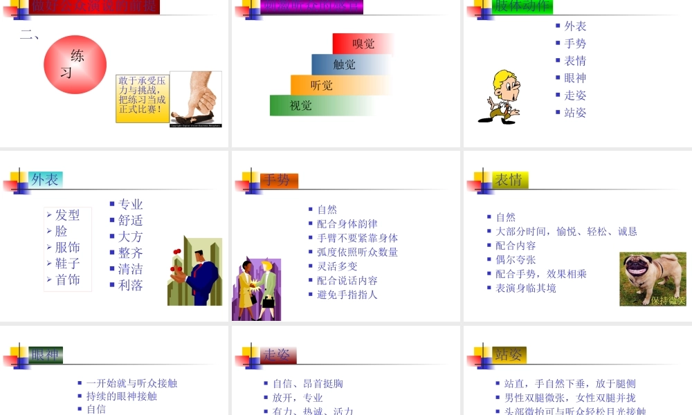 《魅力公众演说训练营》