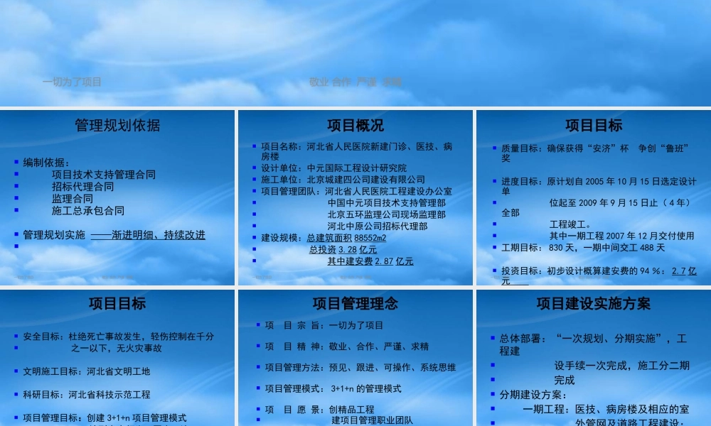 一切为了项目