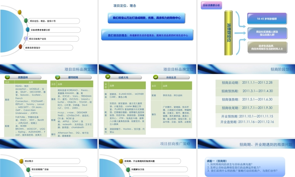 XXXX年宝山项目招商推广计划