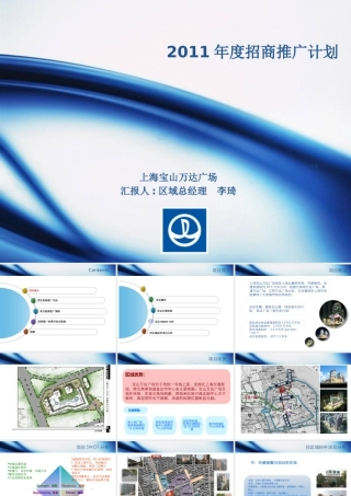 XXXX年宝山项目招商推广计划