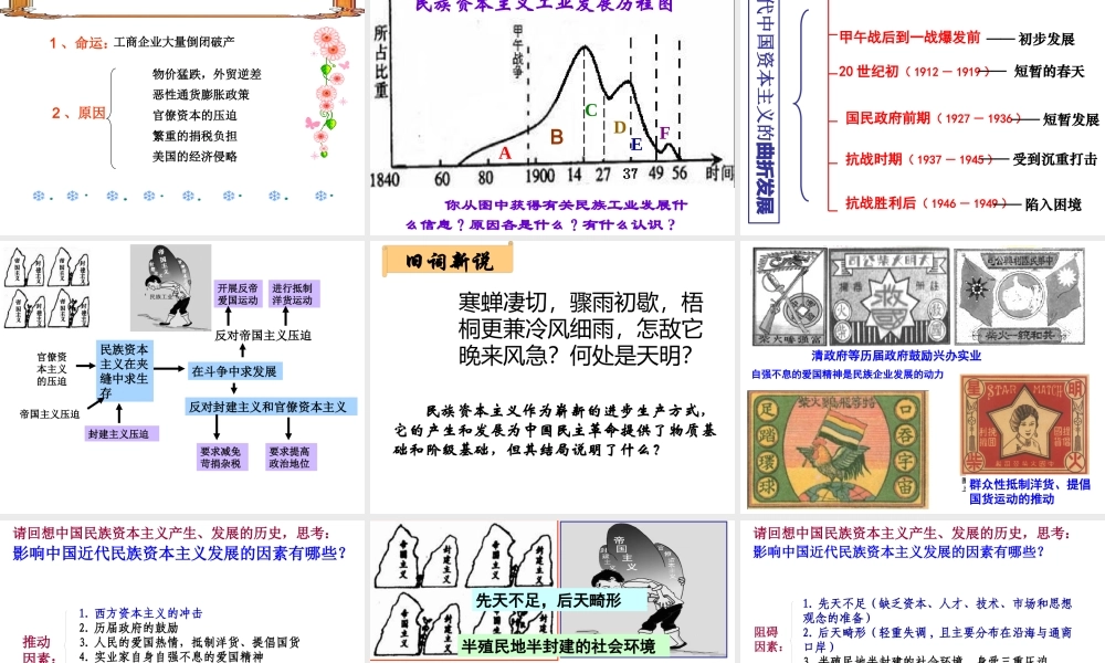 《民国年间民族工业的曲折发展》