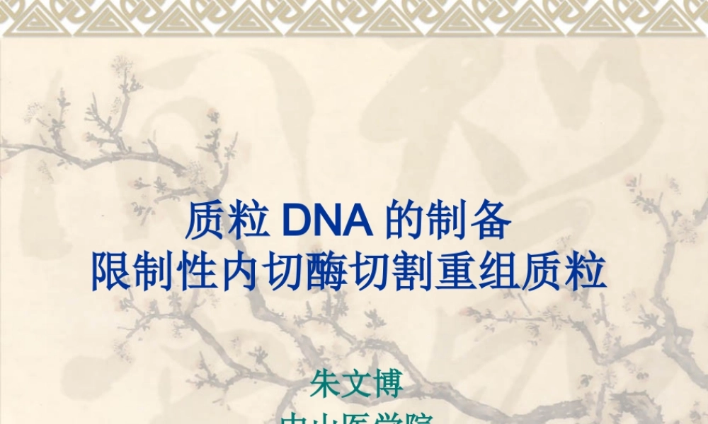 XXXX年本科实验四 重组质粒DNA提取、双酶切鉴定