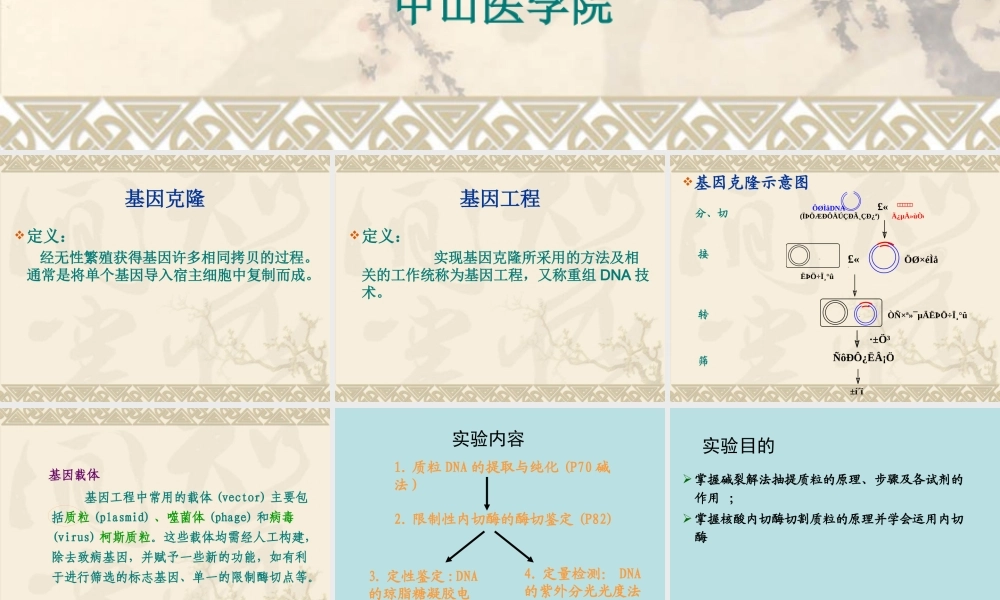 XXXX年本科实验四 重组质粒DNA提取、双酶切鉴定