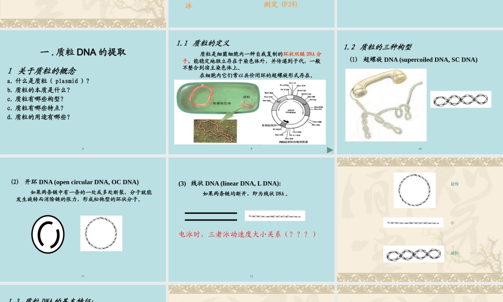 XXXX年本科实验四 重组质粒DNA提取、双酶切鉴定