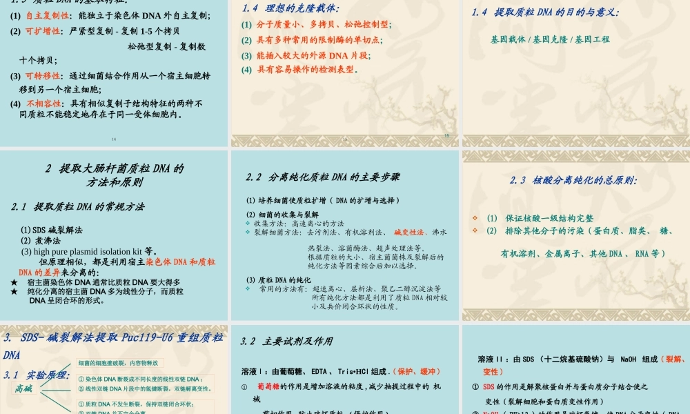 XXXX年本科实验四 重组质粒DNA提取、双酶切鉴定