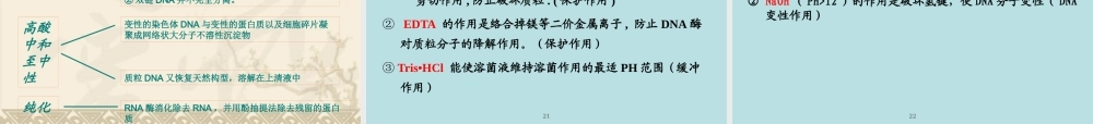 XXXX年本科实验四 重组质粒DNA提取、双酶切鉴定