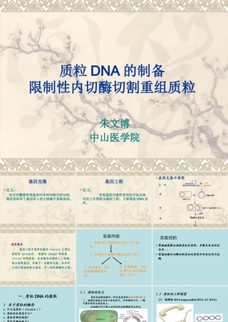 XXXX年本科实验四 重组质粒DNA提取、双酶切鉴定