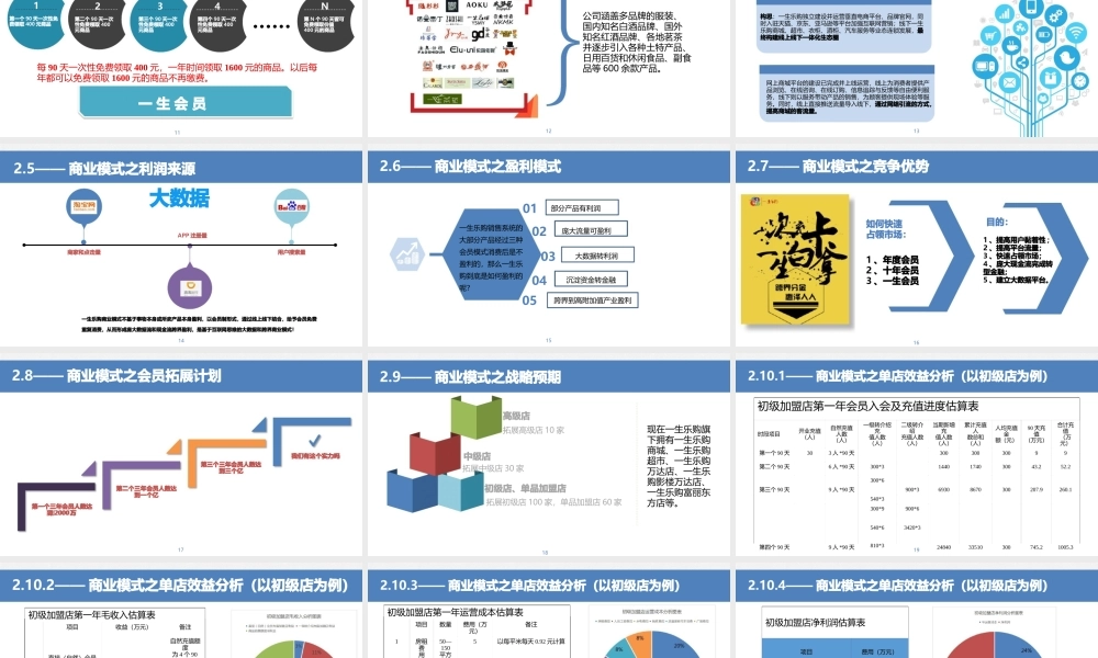 一生乐购商贸有限公司.商业计划书