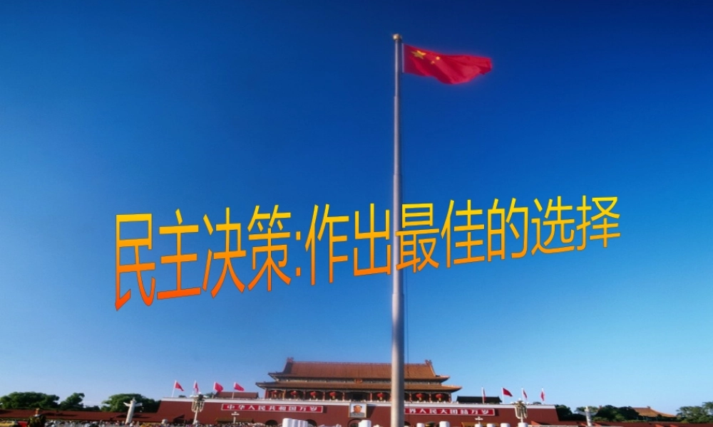 《民主决策：作出最佳选择》