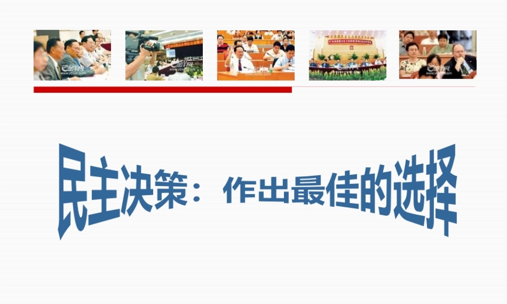 《民主决策：做出最佳选择》