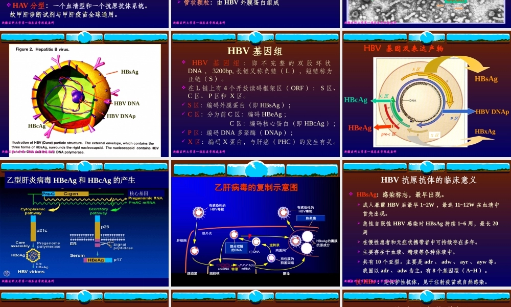 XXXX年病毒性肝炎诊断治疗新进展