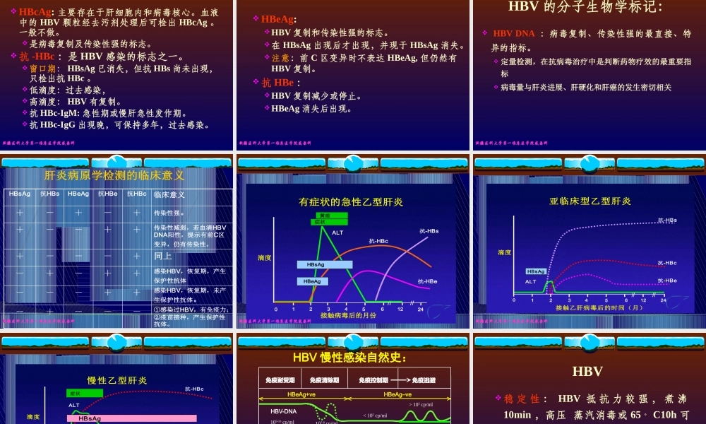 XXXX年病毒性肝炎诊断治疗新进展
