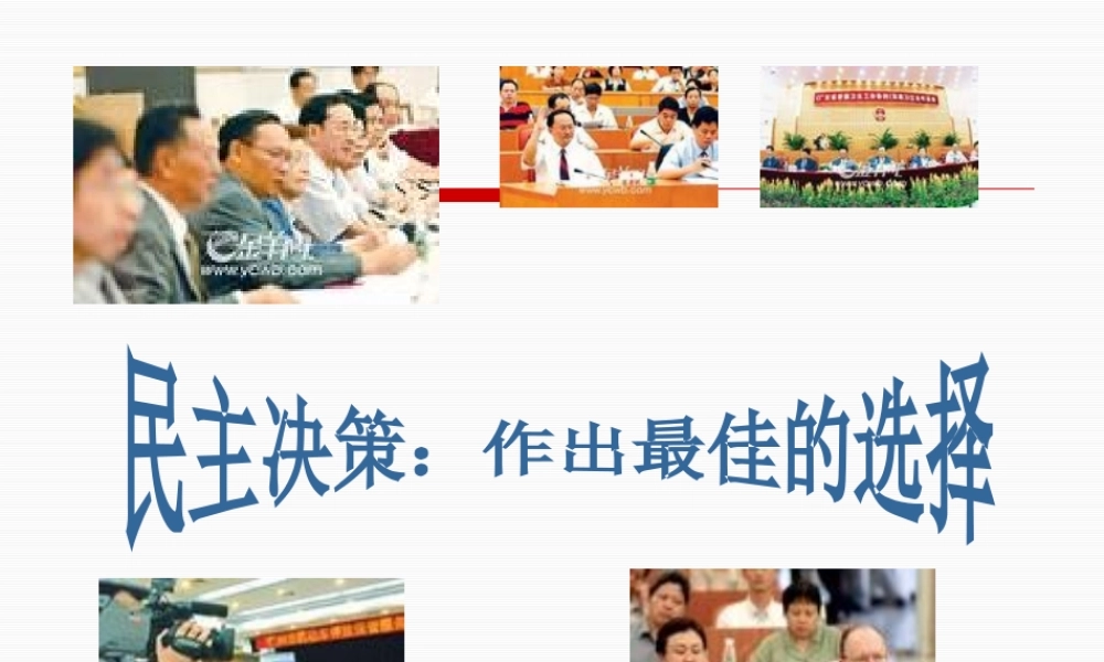 《民主决策作出最佳的选择》