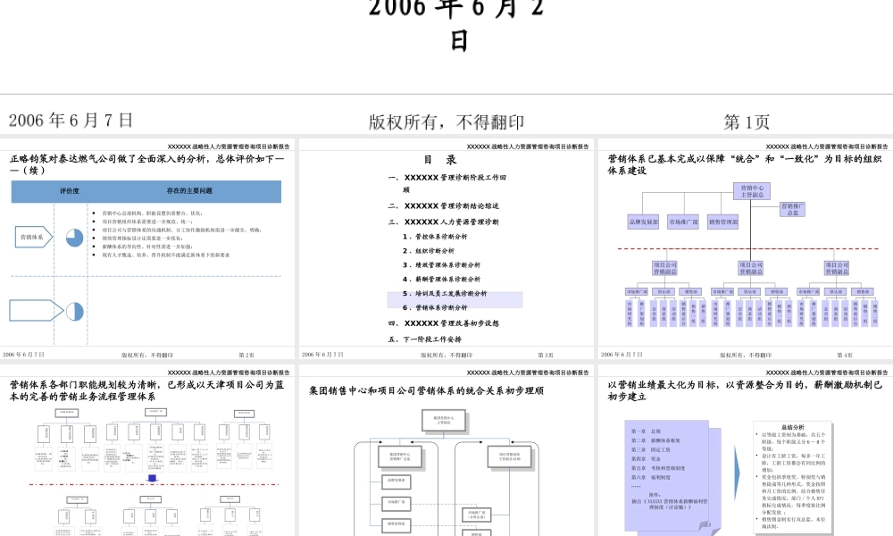 《某公司战略性人力资源体系管理咨询诊断报告》