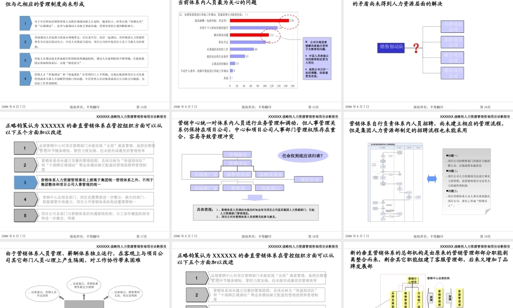 《某公司战略性人力资源体系管理咨询诊断报告》