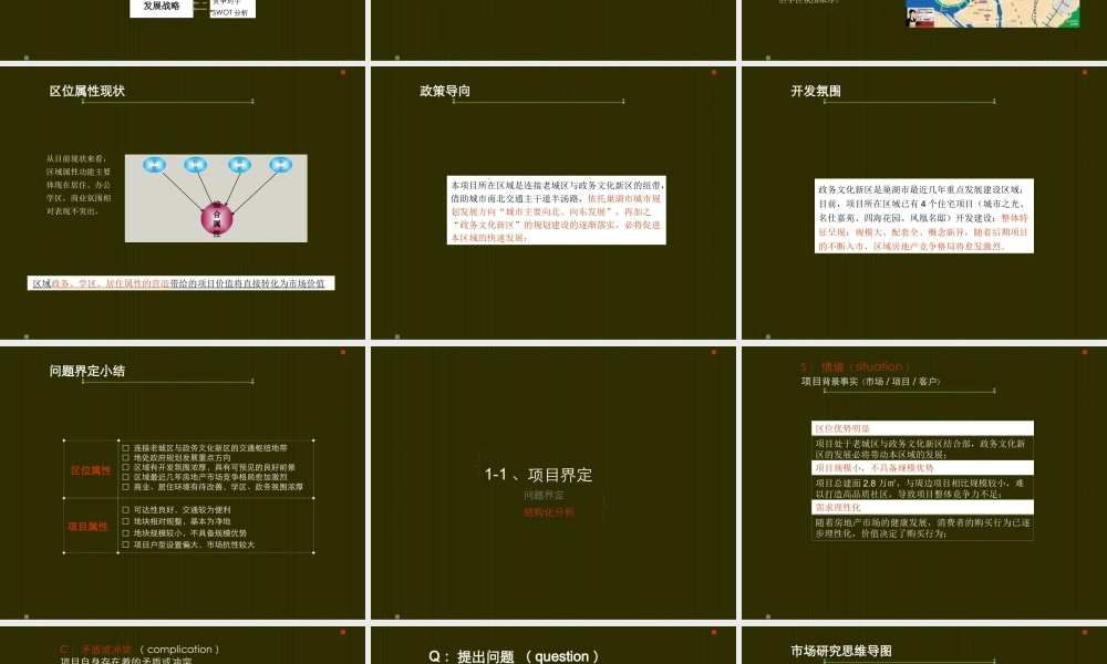 XXXX年巢湖市半汤路北侧发展战略及运作方案