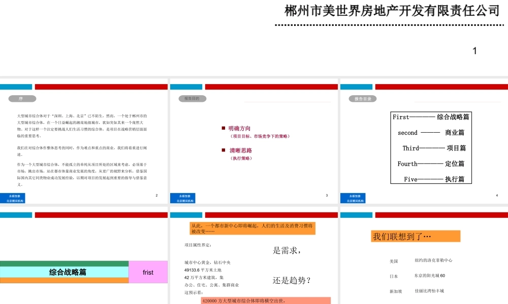 XXXX年郴州市美美世界商业广场策划定位报告