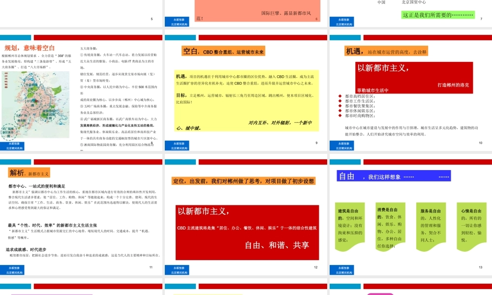 XXXX年郴州市美美世界商业广场策划定位报告