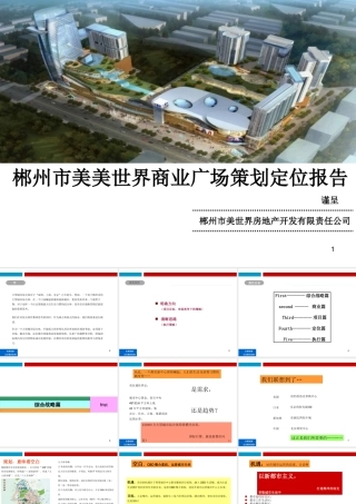 XXXX年郴州市美美世界商业广场策划定位报告
