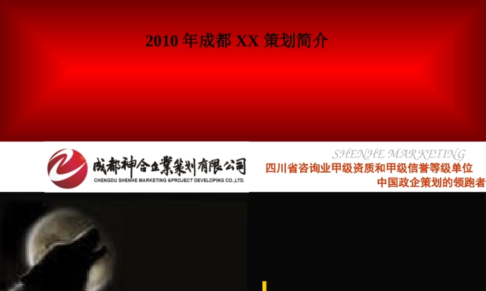 XXXX年成都XX策划简介(PPT46页)