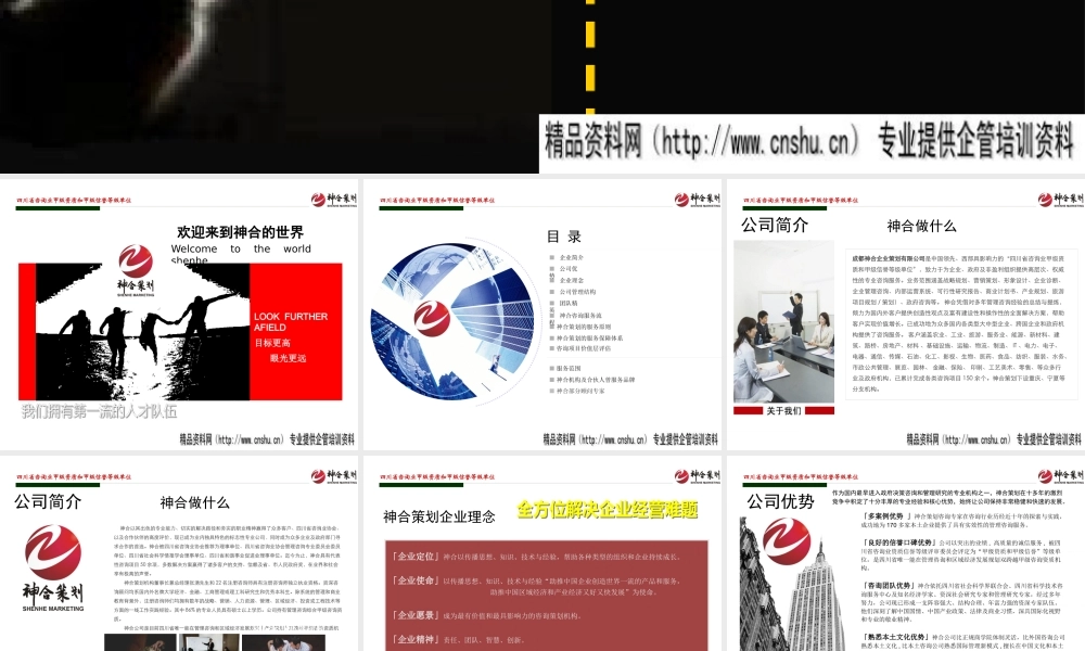 XXXX年成都XX策划简介(PPT46页)